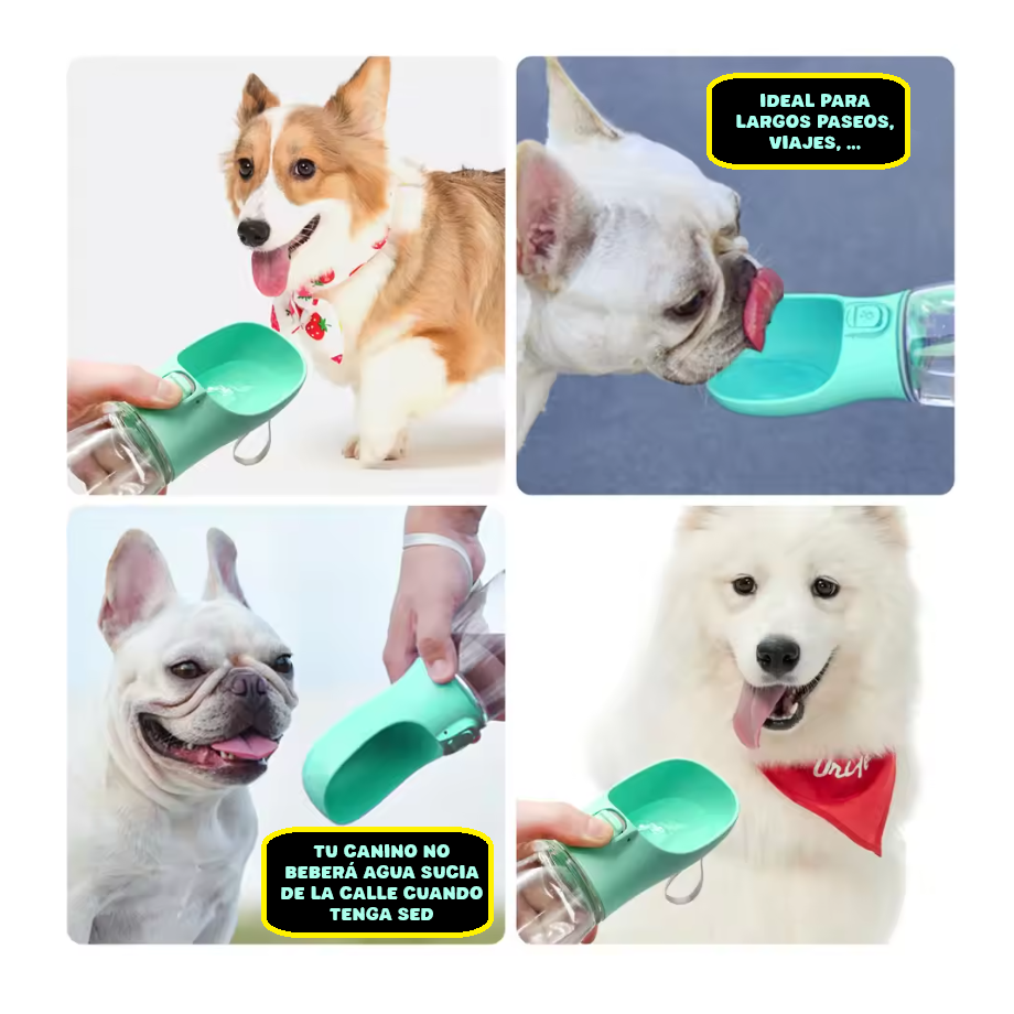 Cuenco portátil para perros