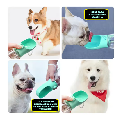 Cuenco portátil para perros