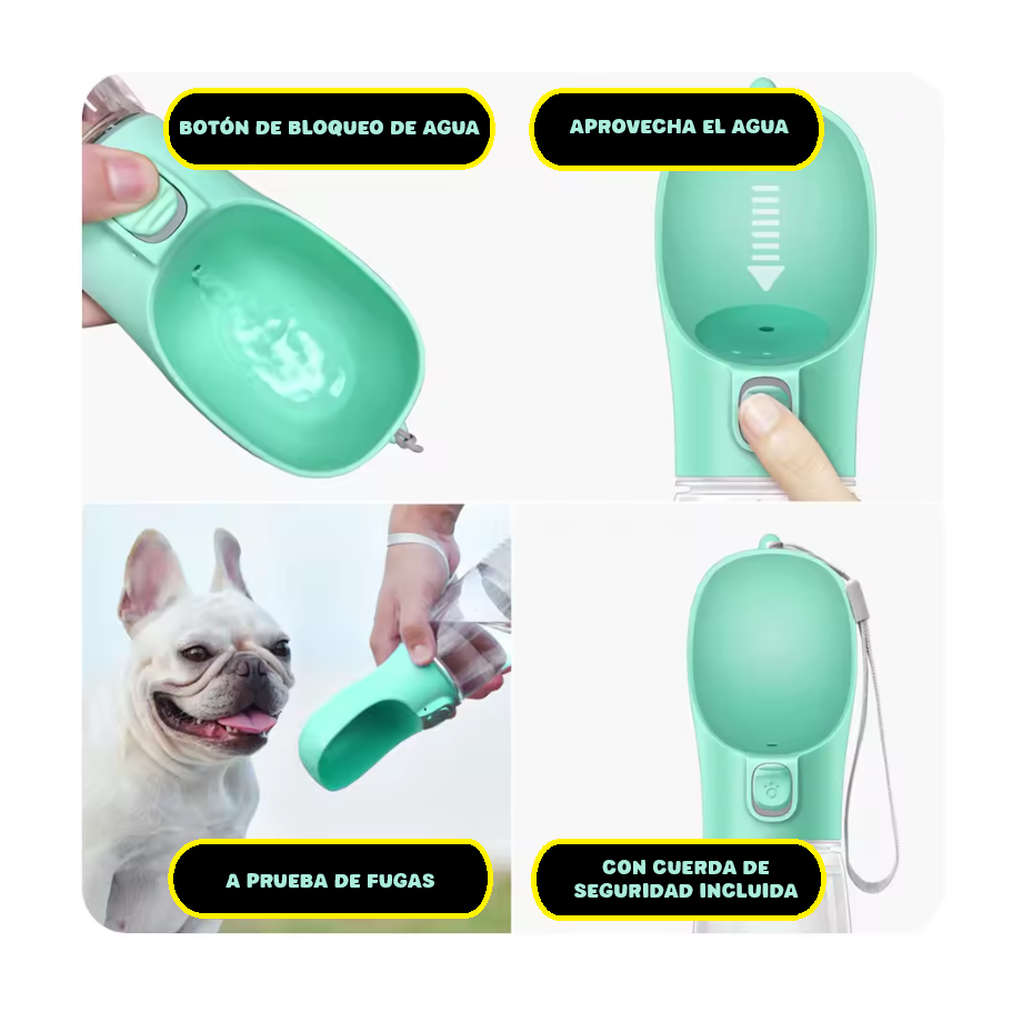 Cuenco portátil para perros
